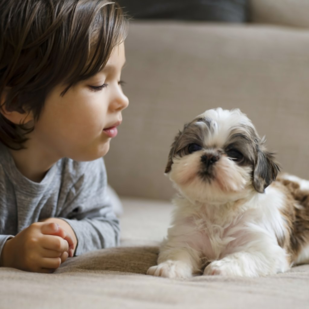 CUTE tricolor adorable baby pups